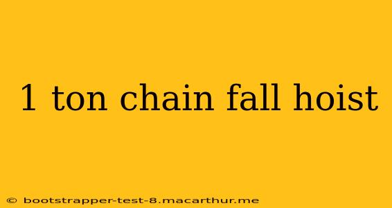 1 ton chain fall hoist