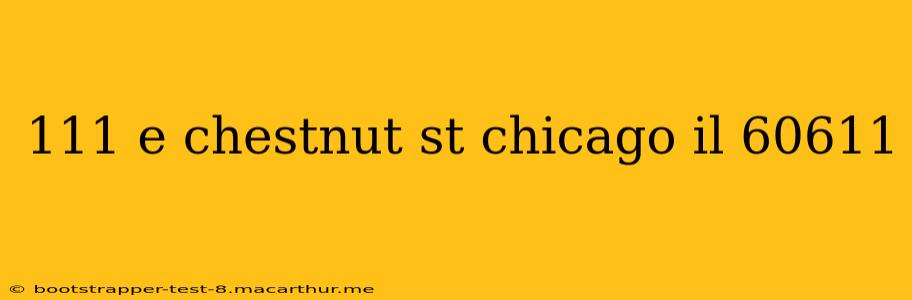 111 e chestnut st chicago il 60611