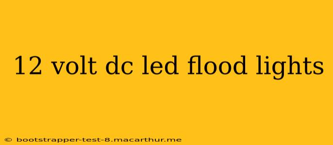 12 volt dc led flood lights