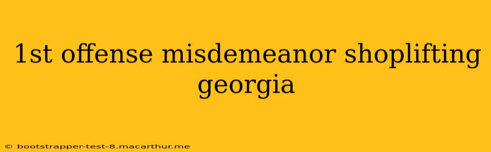 1st offense misdemeanor shoplifting georgia