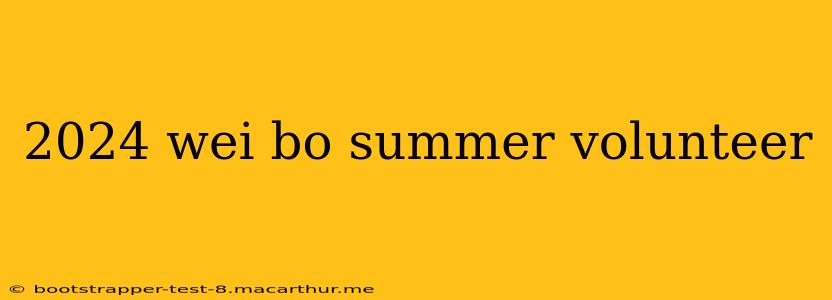 2024 wei bo summer volunteer