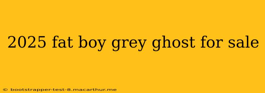 2025 fat boy grey ghost for sale