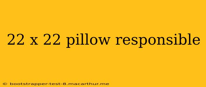 22 x 22 pillow responsible