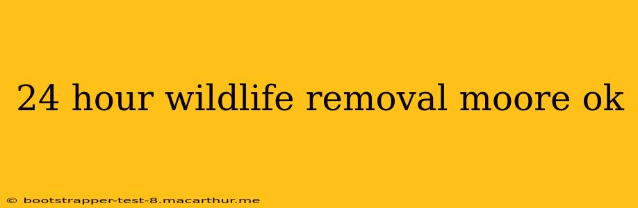24 hour wildlife removal moore ok