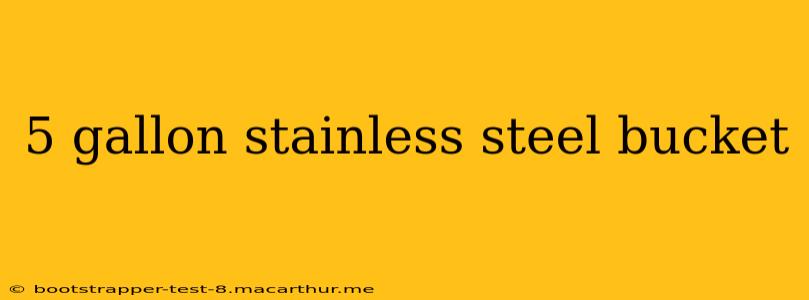 5 gallon stainless steel bucket