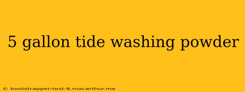 5 gallon tide washing powder