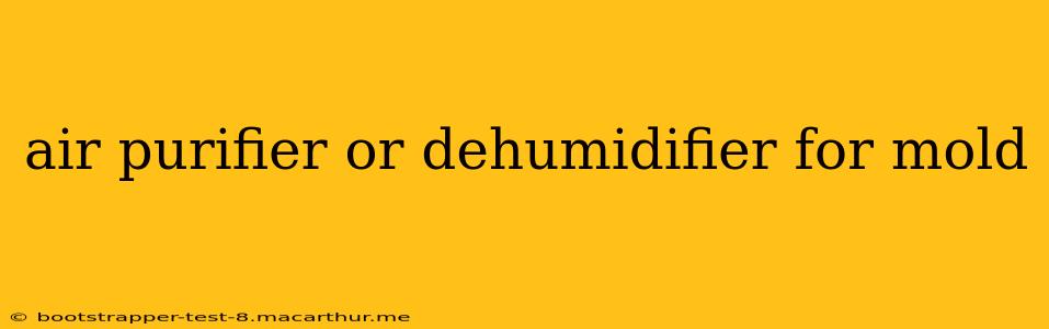 air purifier or dehumidifier for mold