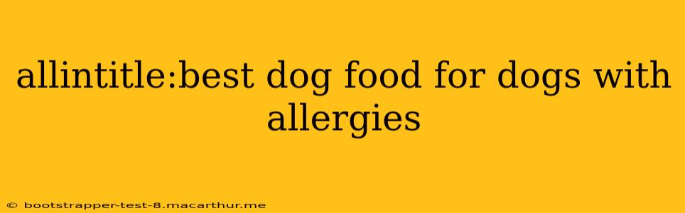 allintitle:best dog food for dogs with allergies