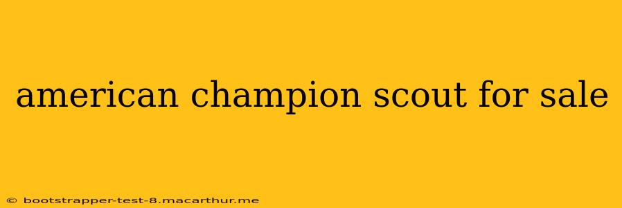 american champion scout for sale
