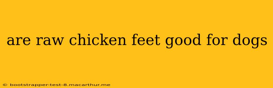 are raw chicken feet good for dogs