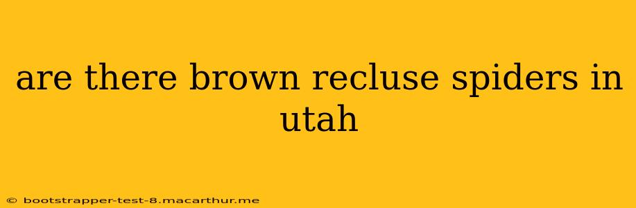 are there brown recluse spiders in utah