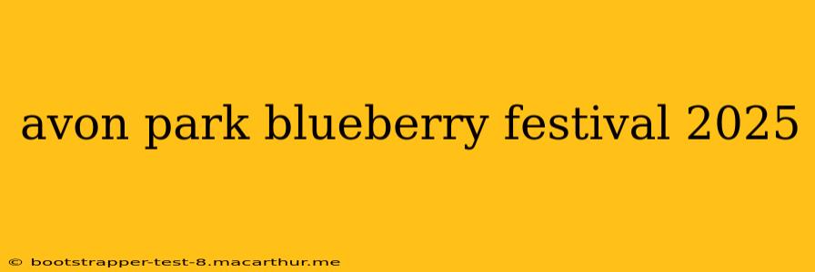 avon park blueberry festival 2025