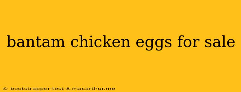 bantam chicken eggs for sale