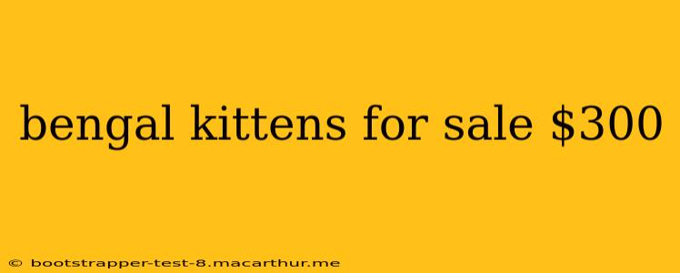 bengal kittens for sale $300