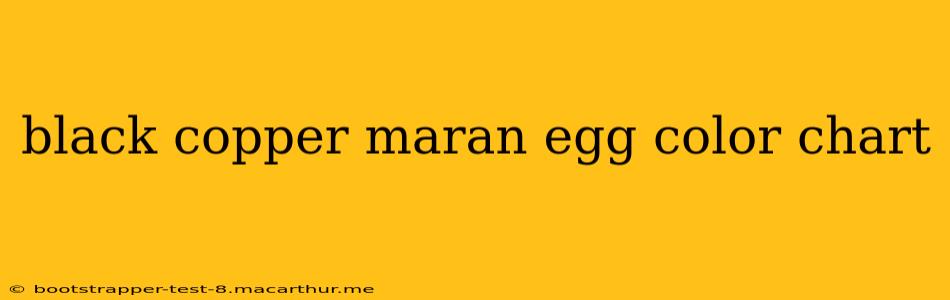 black copper maran egg color chart