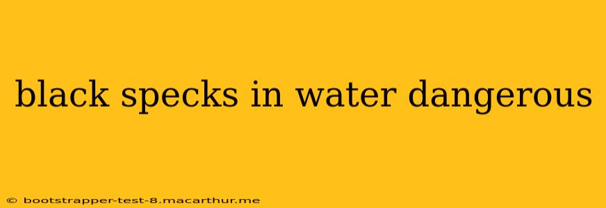 black specks in water dangerous