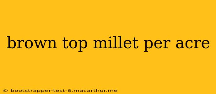 brown top millet per acre