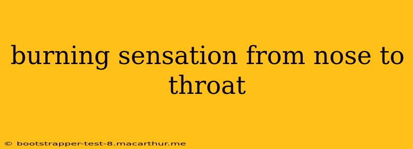 burning sensation from nose to throat