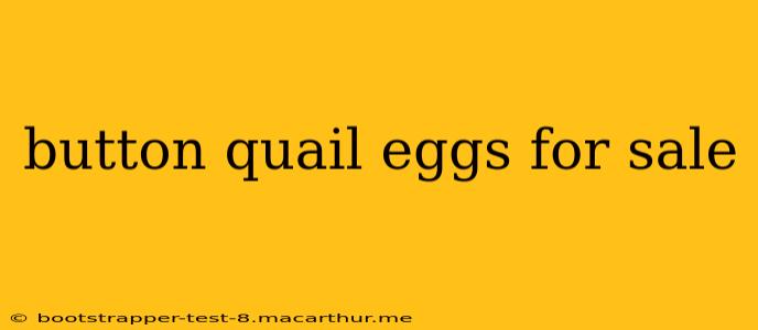 button quail eggs for sale