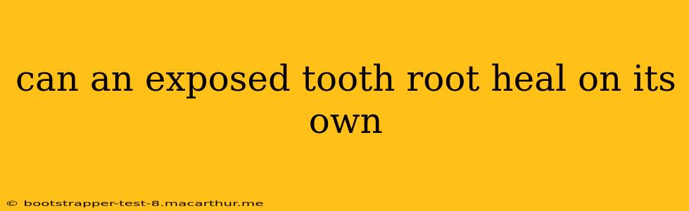 can an exposed tooth root heal on its own