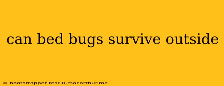 can bed bugs survive outside
