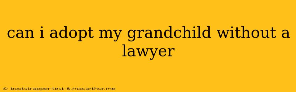 can i adopt my grandchild without a lawyer