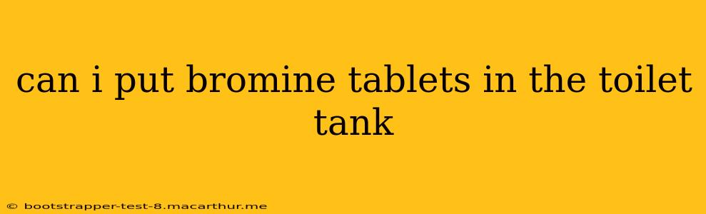 can i put bromine tablets in the toilet tank