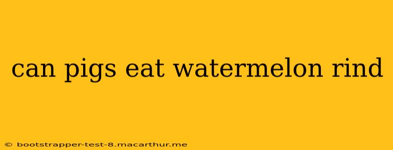 can pigs eat watermelon rind