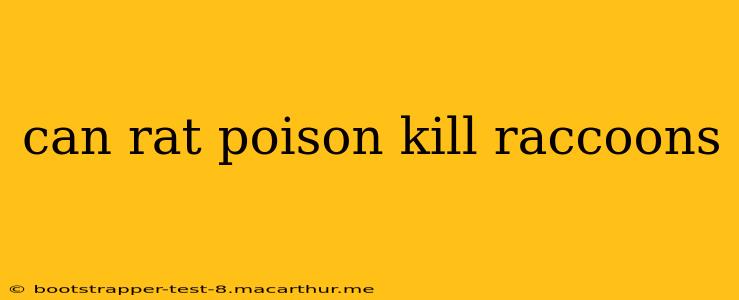can rat poison kill raccoons