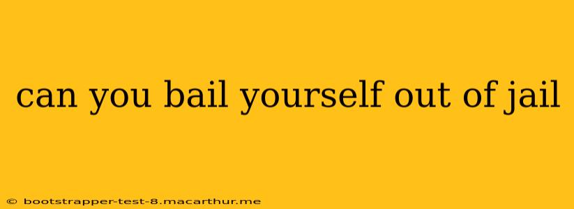 can you bail yourself out of jail