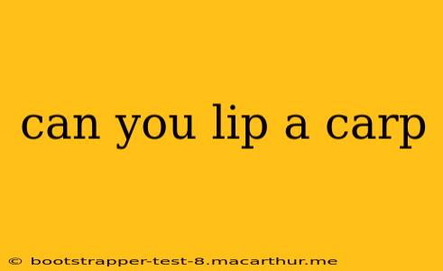 can you lip a carp