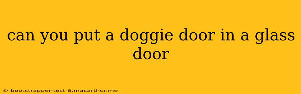 can you put a doggie door in a glass door