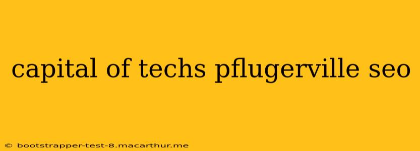 capital of techs pflugerville seo