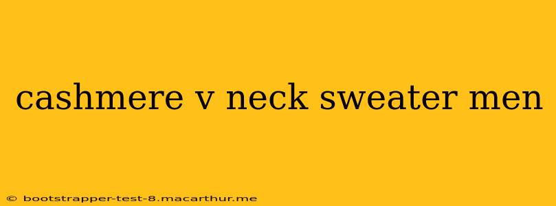 cashmere v neck sweater men