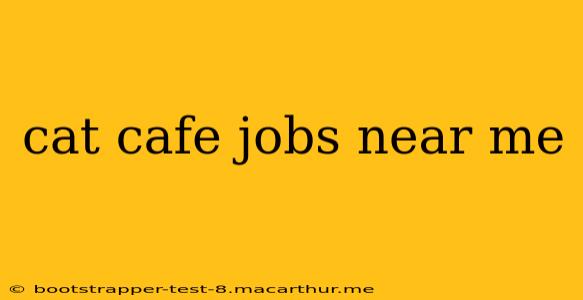 cat cafe jobs near me