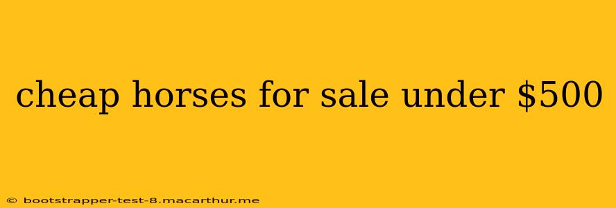 cheap horses for sale under $500
