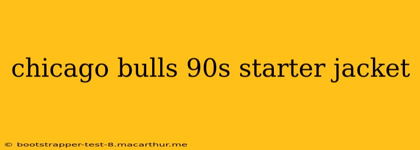 chicago bulls 90s starter jacket