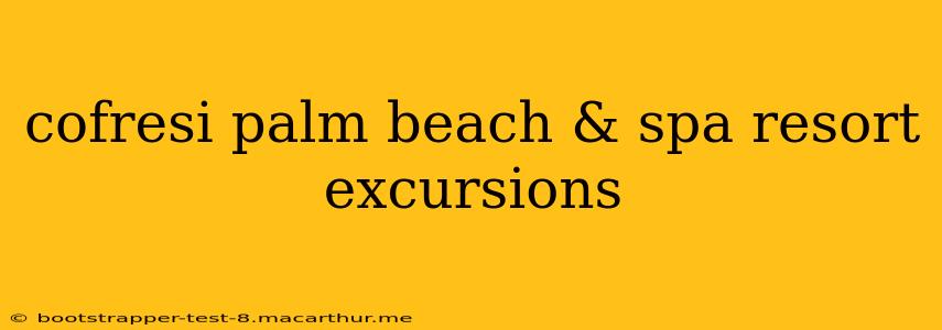 cofresi palm beach & spa resort excursions