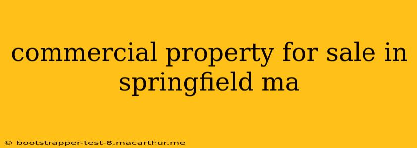 commercial property for sale in springfield ma