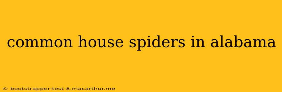 common house spiders in alabama
