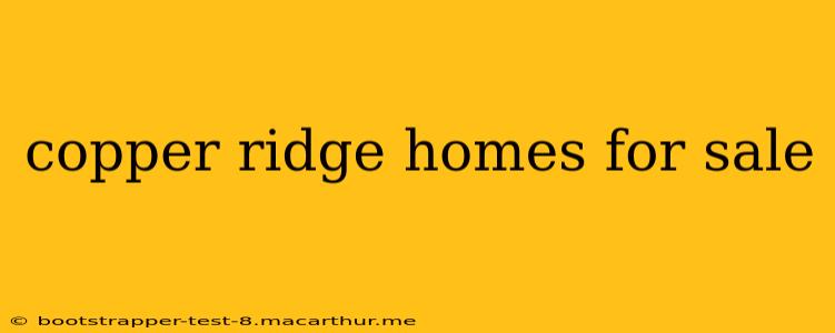 copper ridge homes for sale