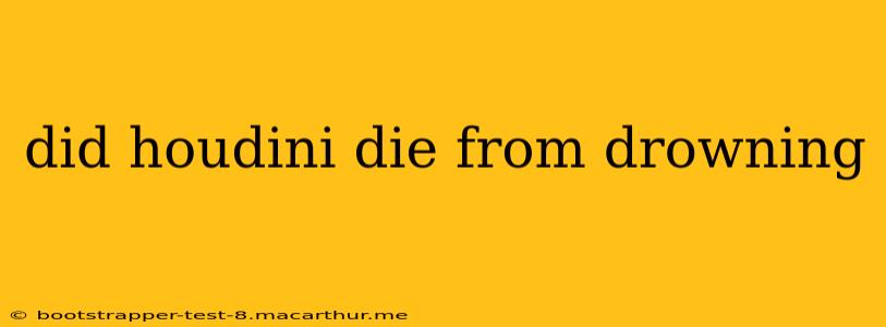 did houdini die from drowning