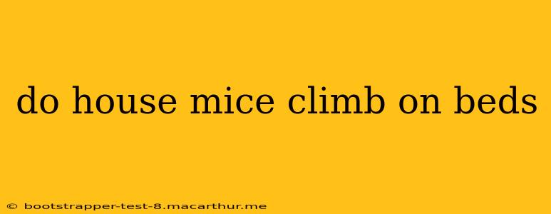 do house mice climb on beds