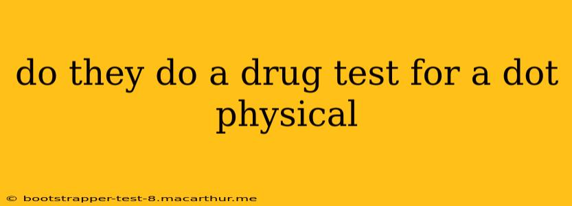 do they do a drug test for a dot physical