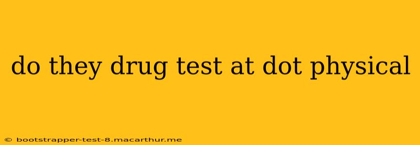 do they drug test at dot physical