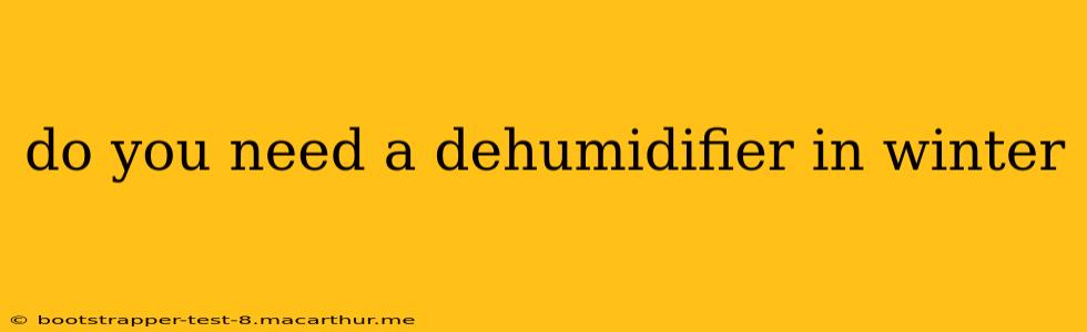 do you need a dehumidifier in winter