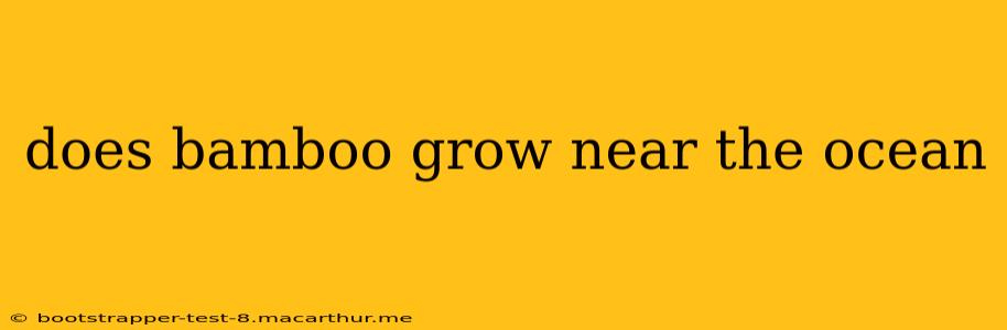 does bamboo grow near the ocean