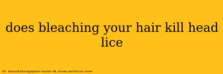 does bleaching your hair kill head lice