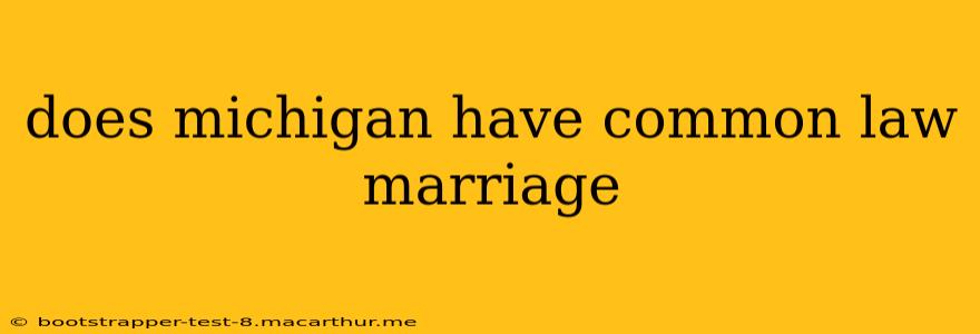 does michigan have common law marriage