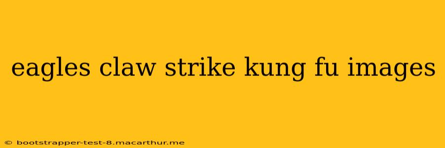 eagles claw strike kung fu images